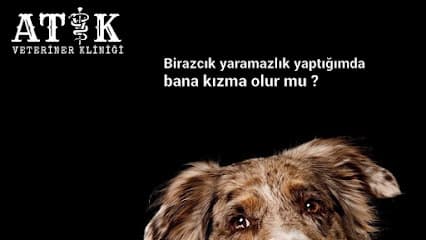 Atik Veteriner Kliniği Ankara Veteriner Kliniği - Çubuk Veteriner