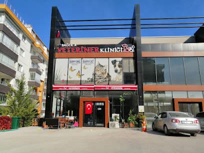 Bağlıca Veteriner Kliniği Ankara Veteriner Kliniği - Etimesgut Veteriner