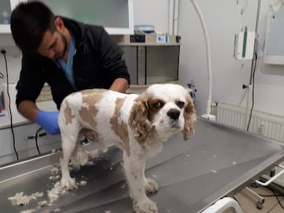 Doğa Veteriner Ankara Veteriner Kliniği - Çankaya Veteriner