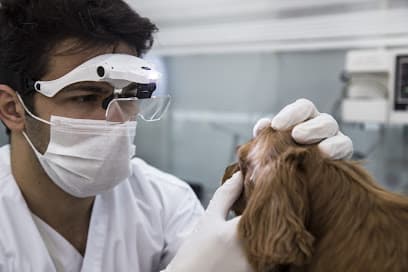 DOST PATİ VETERİNER TIP MERKEZİ Ankara Veteriner Kliniği - Çankaya Veteriner