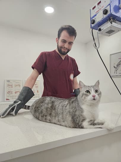 Gigi Veteriner Kliniği Ankara Veteriner Kliniği - Çankaya Veteriner