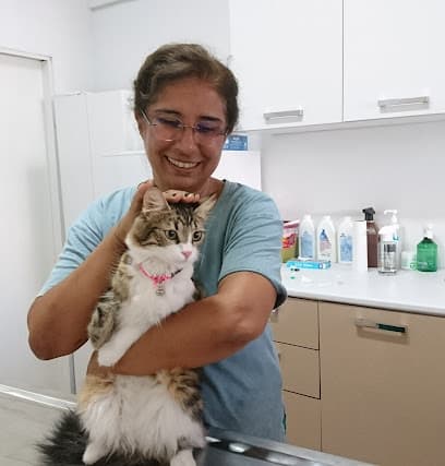 Hitit Veteriner Muayenehanesi Ankara Veteriner Kliniği - Sincan Veteriner