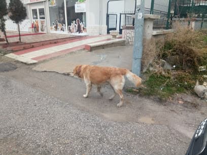 Nk Veteriner Muayenehanesi Ankara Veteriner Kliniği - Sincan Veteriner