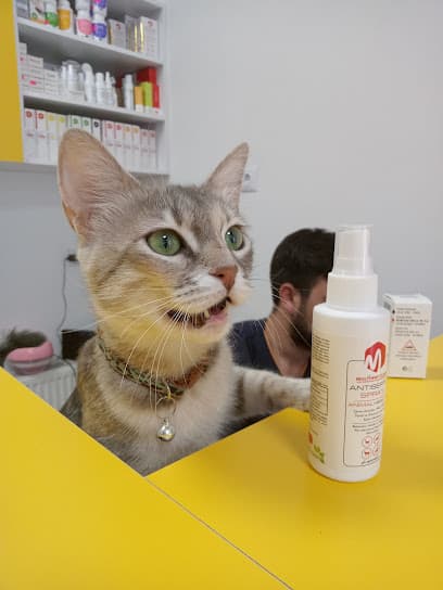 Pet Anka Veteriner Kliniği Ankara Veteriner Kliniği - Keçiören Veteriner
