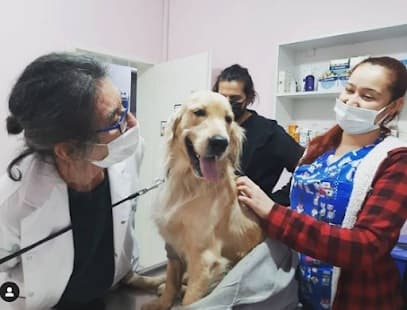 PET CLINIC Ankara Veteriner Kliniği - Çankaya Veteriner