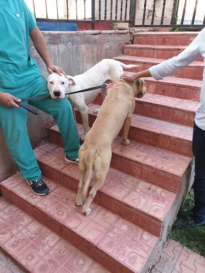 Tora Veteriner Kliniği Ankara Veteriner Kliniği - Gölbaşı Veteriner