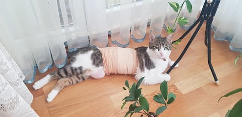 Ümitköy Vetcomplex Veterinary Clinic Ankara Veteriner Kliniği - Çankaya Veteriner